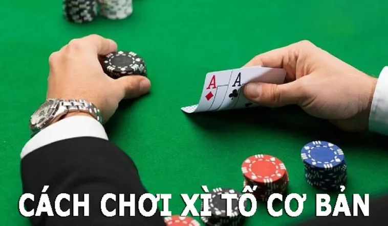 Khám Phá Thế Giới Xì Tố Tại BJ88: Hấp Dẫn Không Thể Bỏ Lỡ